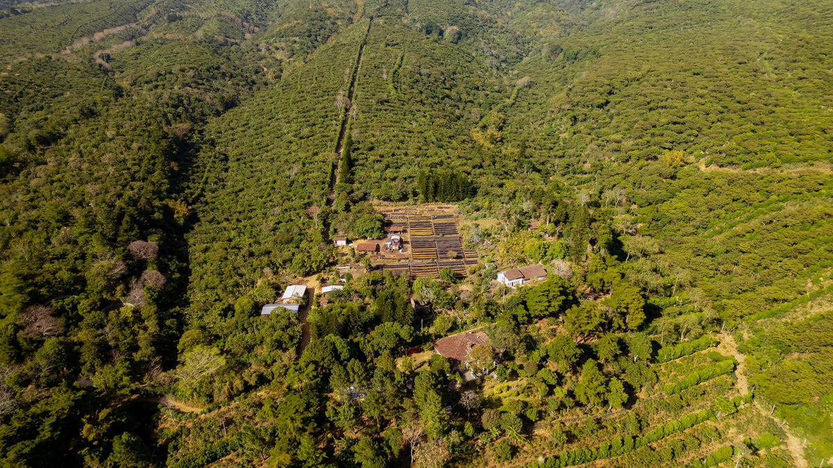 LAS BRISAS - NATURE - EL SALVADOR