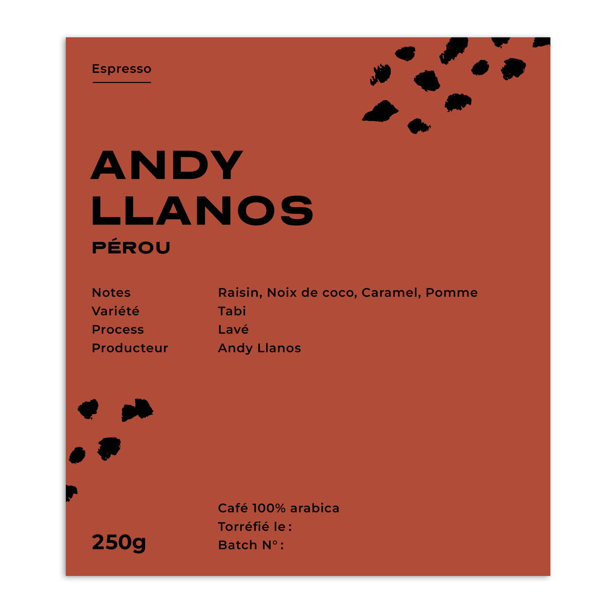 ANDY LLANOS - TABI - PÉROU